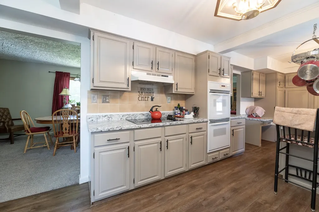 55081 Buckhorn Road Park Township MI 49093