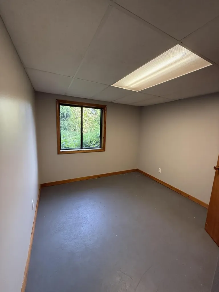 11229 W Snows Lake Road Eureka Township MI 48838