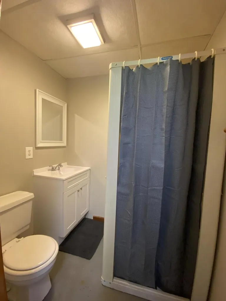 11229 W Snows Lake Road Eureka Township MI 48838