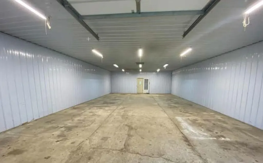 11229 W Snows Lake Road Eureka Township MI 48838
