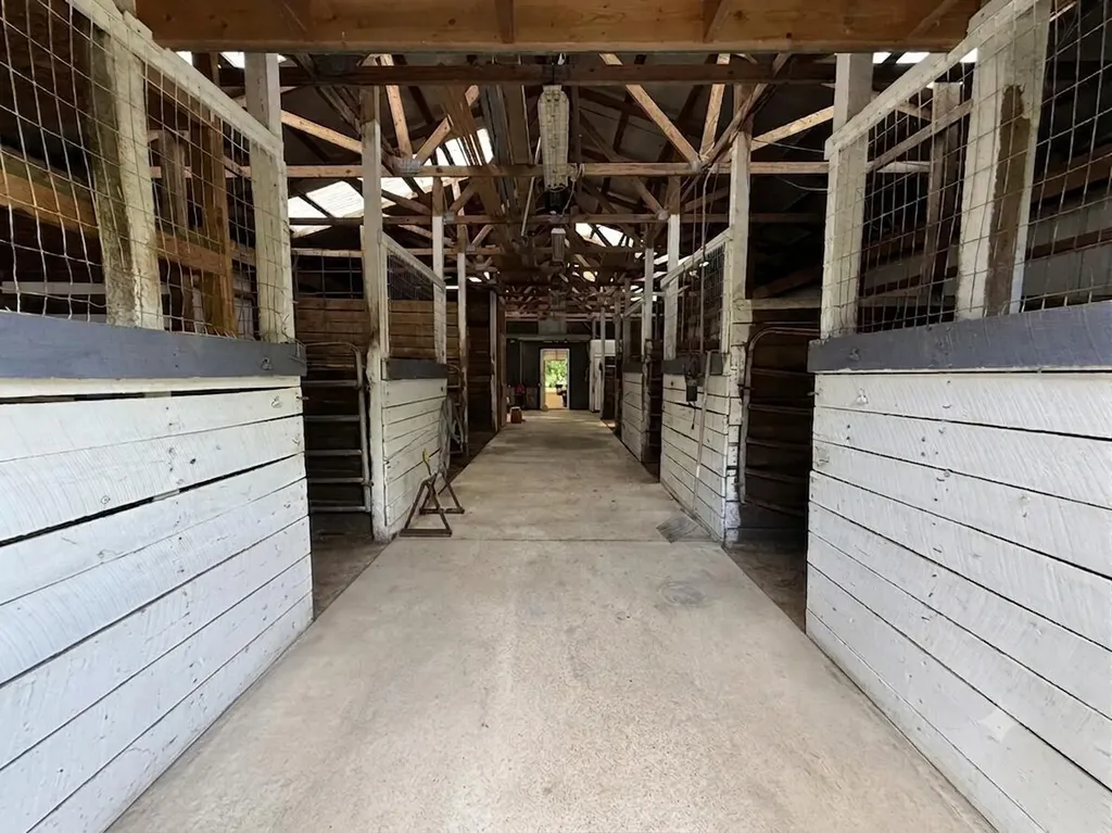 11229 W Snows Lake Road Eureka Township MI 48838