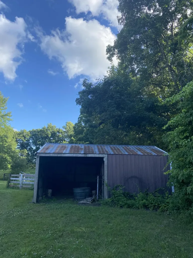 11229 W Snows Lake Road Eureka Township MI 48838