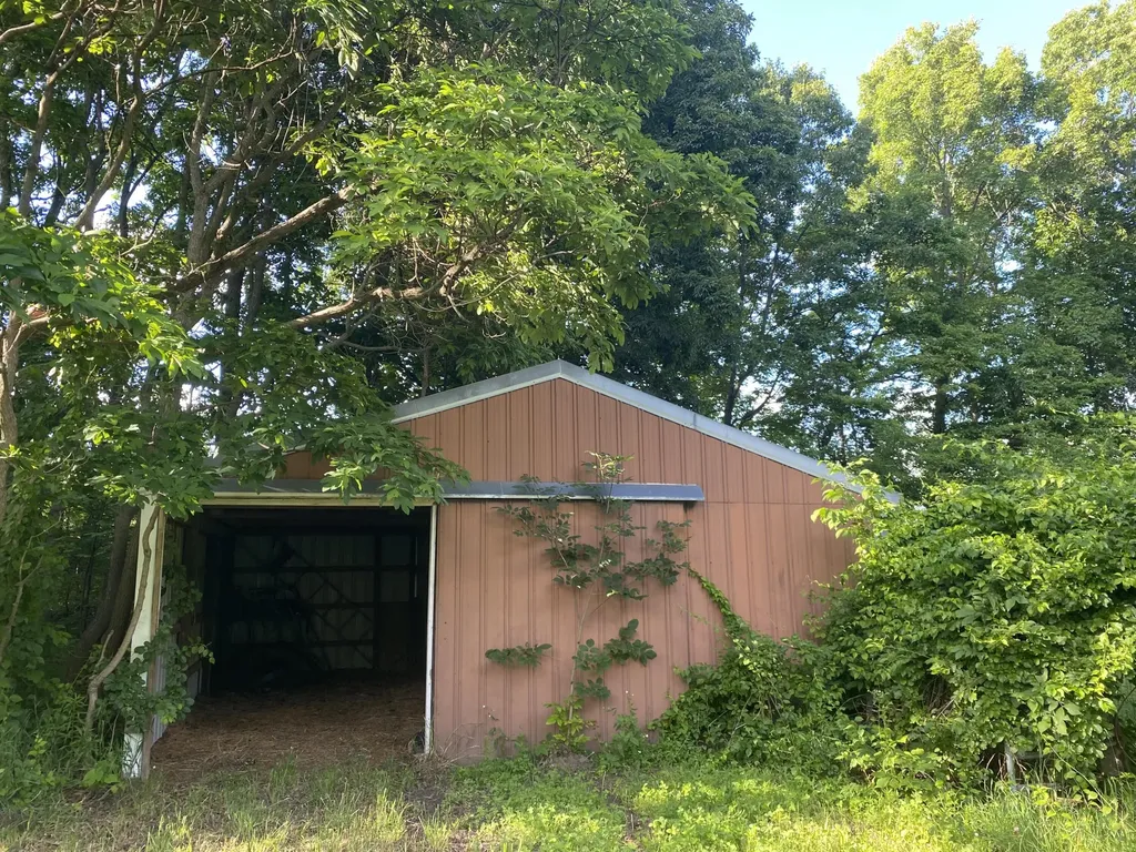 11229 W Snows Lake Road Eureka Township MI 48838