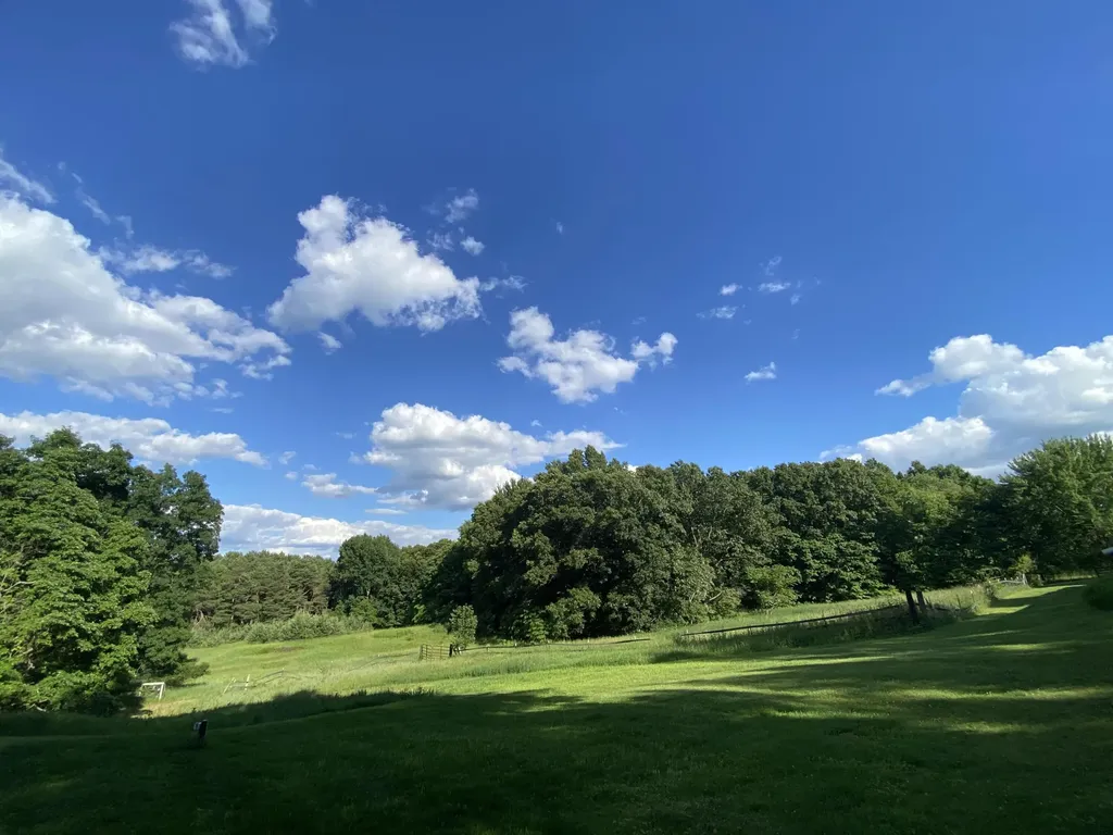 11229 W Snows Lake Road Eureka Township MI 48838
