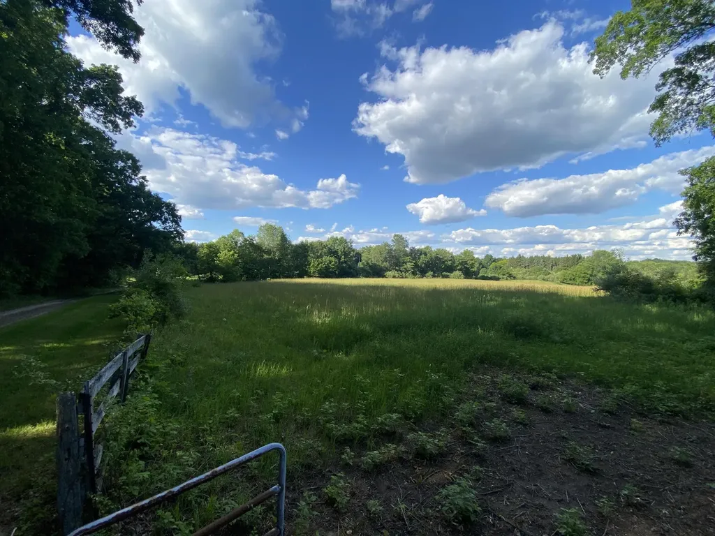 11229 W Snows Lake Road Eureka Township MI 48838