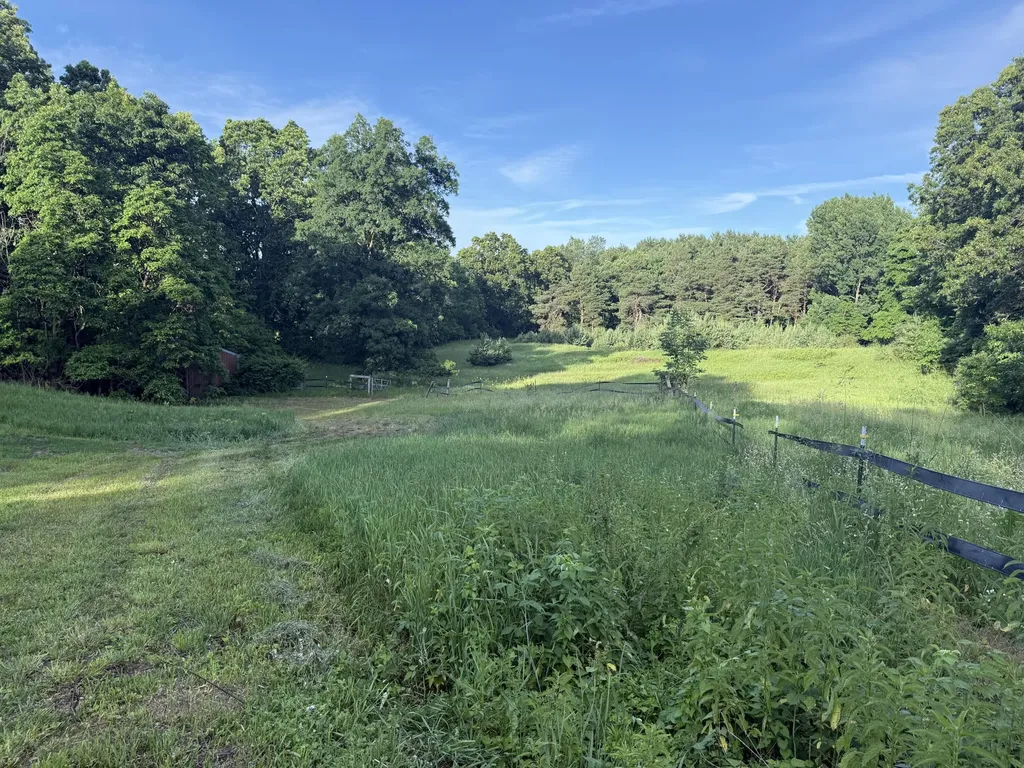 11229 W Snows Lake Road Eureka Township MI 48838