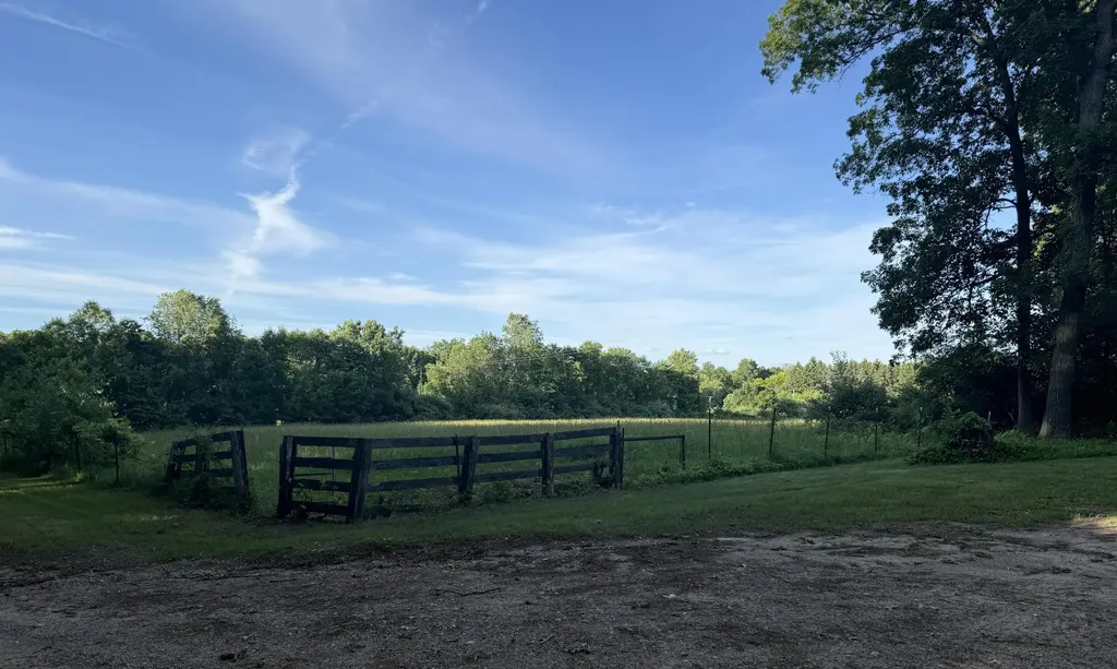 11229 W Snows Lake Road Eureka Township MI 48838
