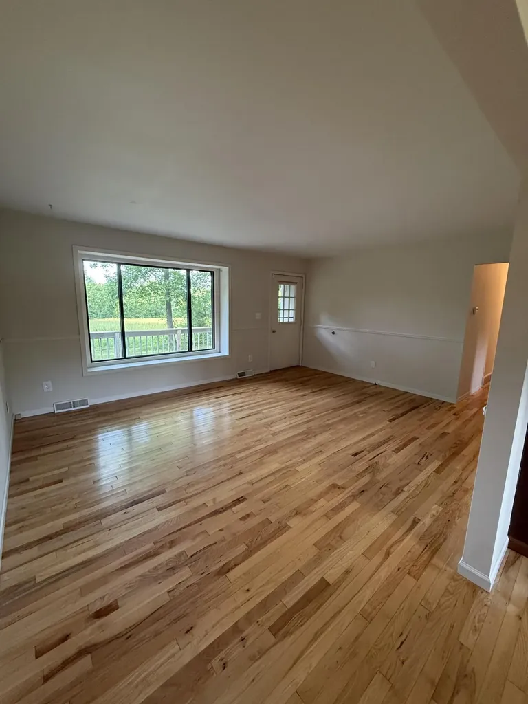 11229 W Snows Lake Road Eureka Township MI 48838