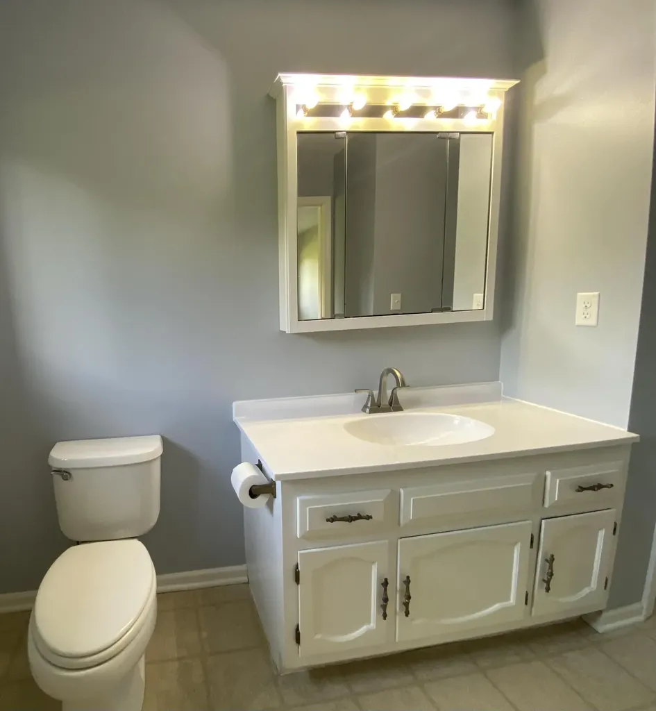 11229 W Snows Lake Road Eureka Township MI 48838