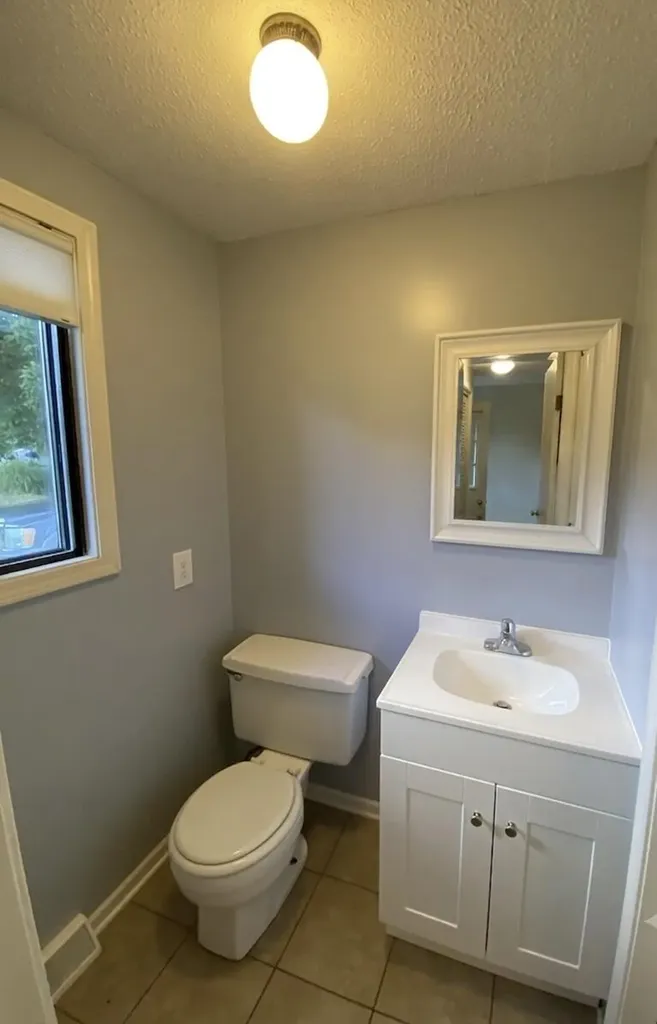 11229 W Snows Lake Road Eureka Township MI 48838