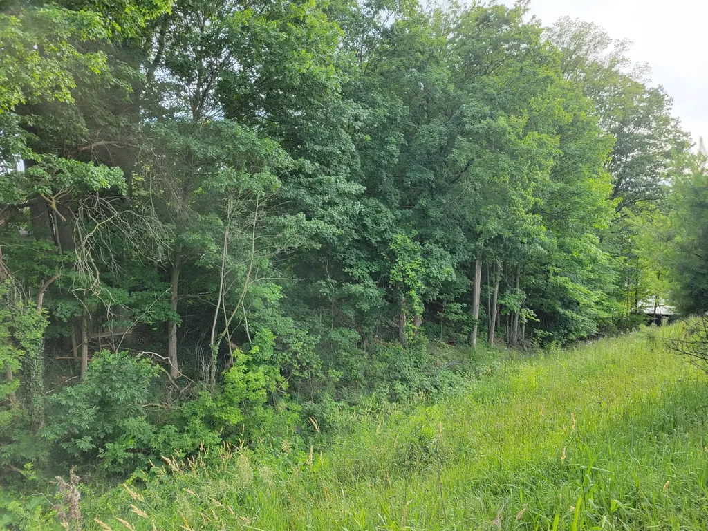 385 92nd Street SW Byron Township MI 49315