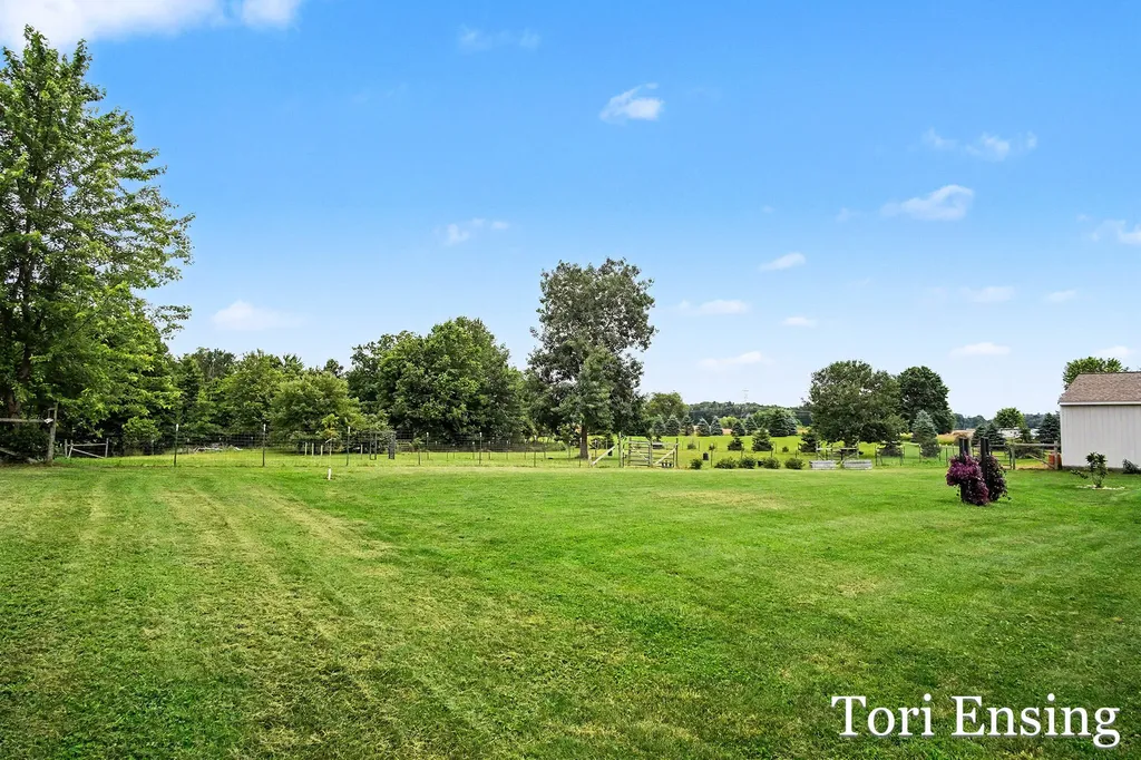 9137 Peterson Street NE Courtland Township MI 49341