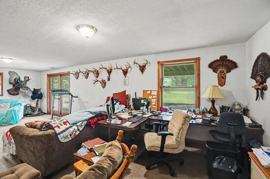 4485 S Miles Road Sidney Township MI 48884