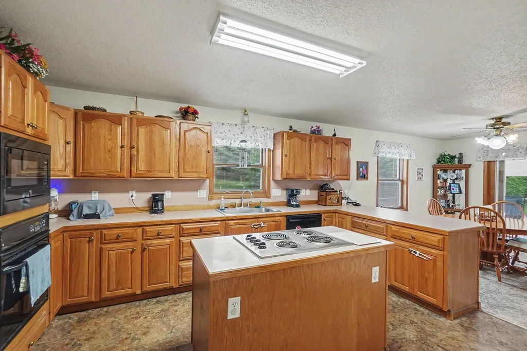 4485 S Miles Road Sidney Township MI 48884