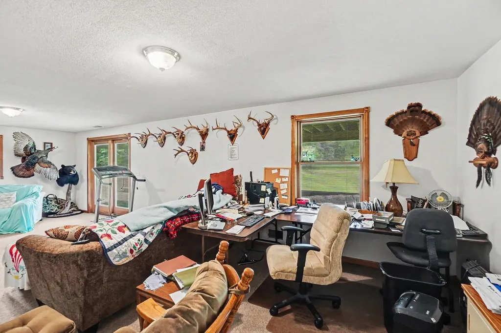 4485 S Miles Road Sidney Township MI 48884