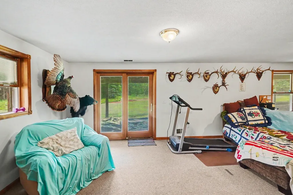 4485 S Miles Road Sidney Township MI 48884