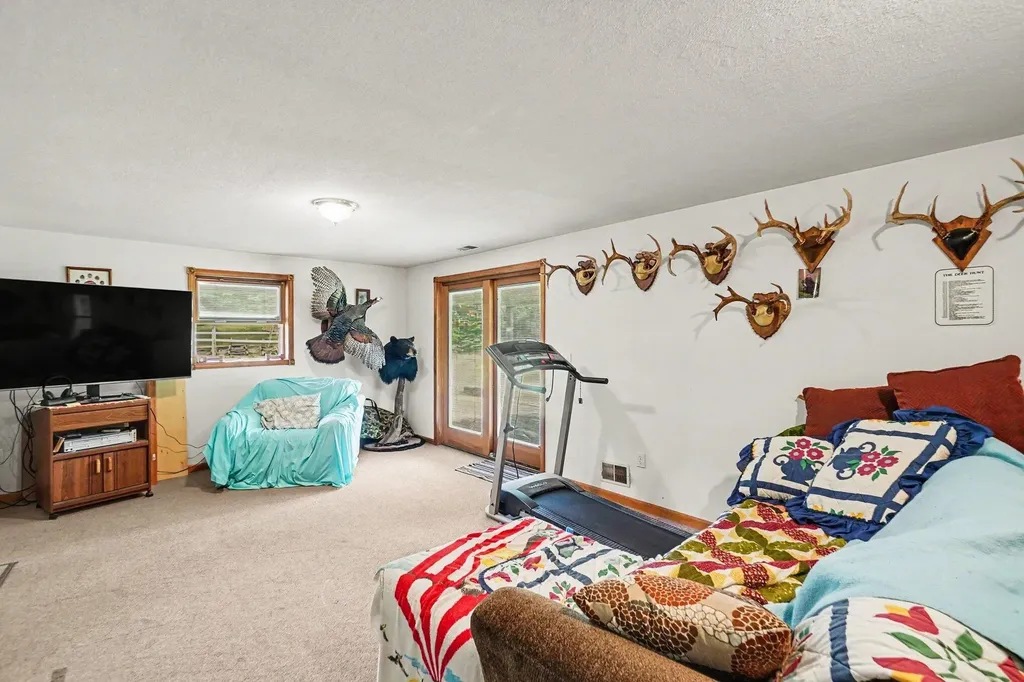 4485 S Miles Road Sidney Township MI 48884