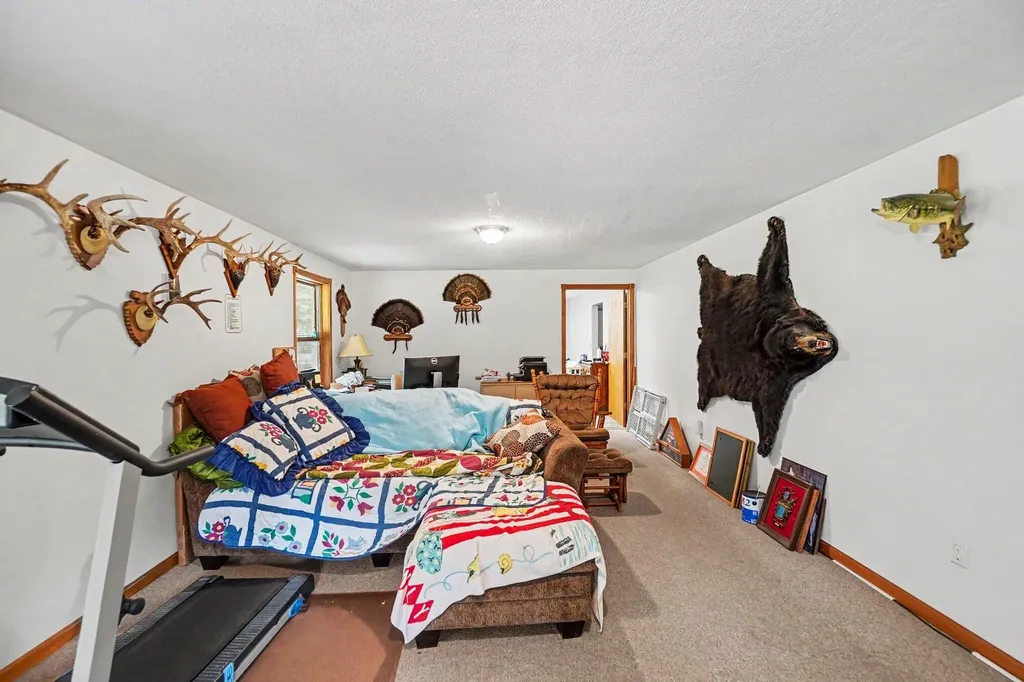4485 S Miles Road Sidney Township MI 48884