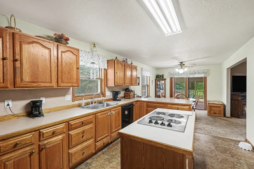 4485 S Miles Road Sidney Township MI 48884