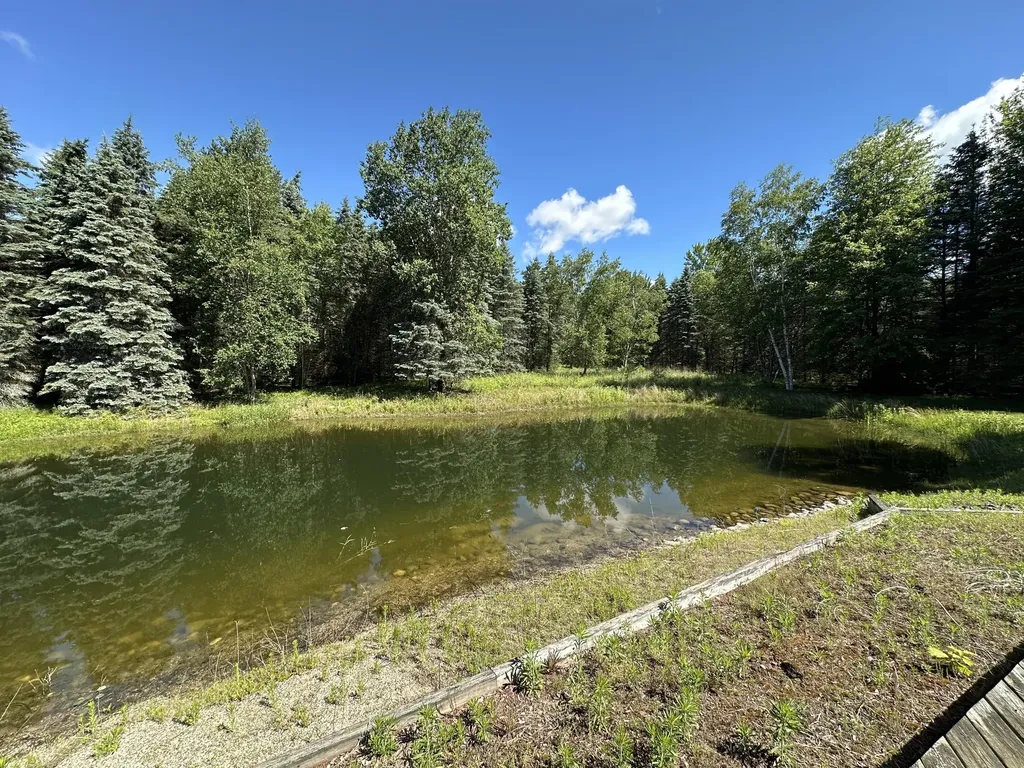 4485 S Miles Road Sidney Township MI 48884