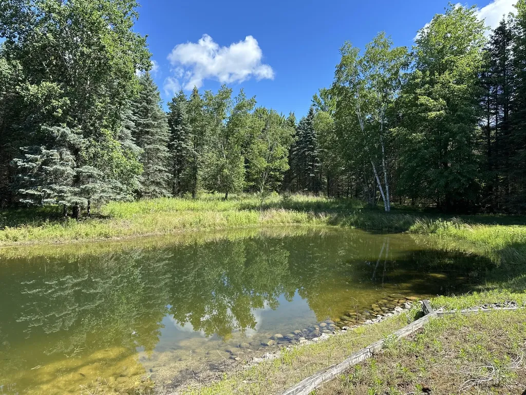 4485 S Miles Road Sidney Township MI 48884