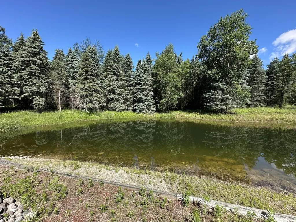 4485 S Miles Road Sidney Township MI 48884