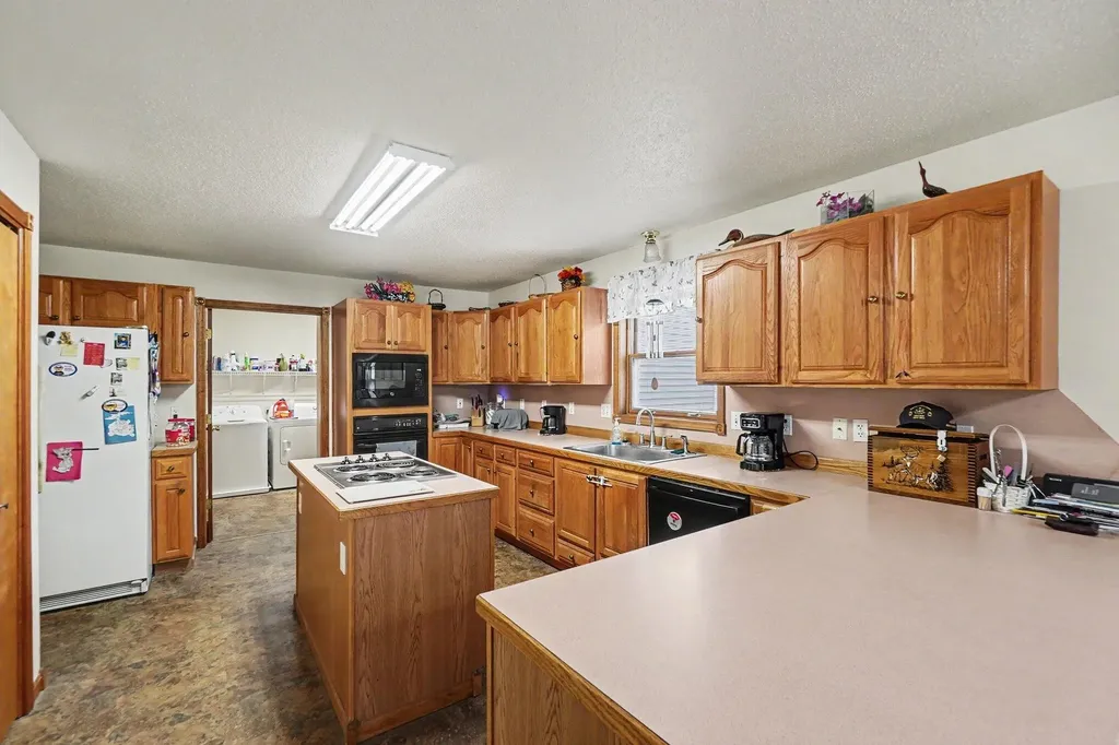 4485 S Miles Road Sidney Township MI 48884