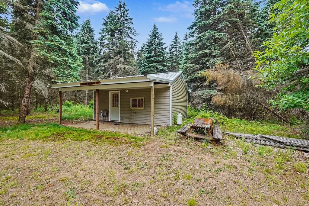 4485 S Miles Road Sidney Township MI 48884