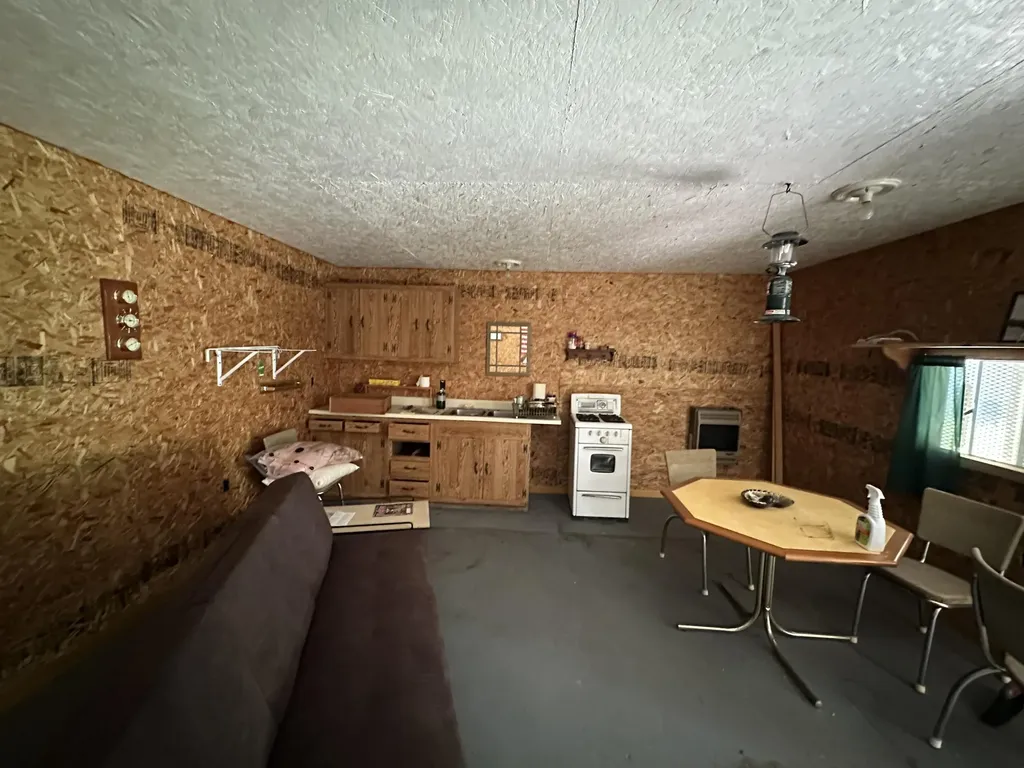 4485 S Miles Road Sidney Township MI 48884