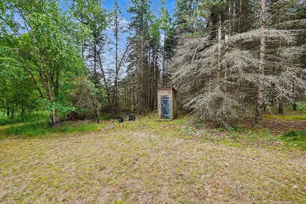 4485 S Miles Road Sidney Township MI 48884