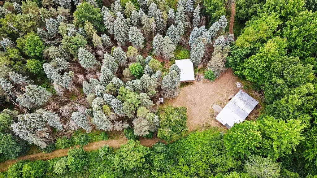 4485 S Miles Road Sidney Township MI 48884