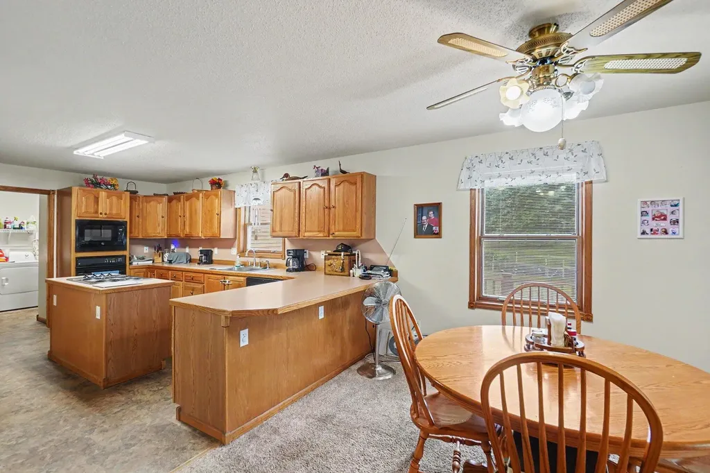 4485 S Miles Road Sidney Township MI 48884