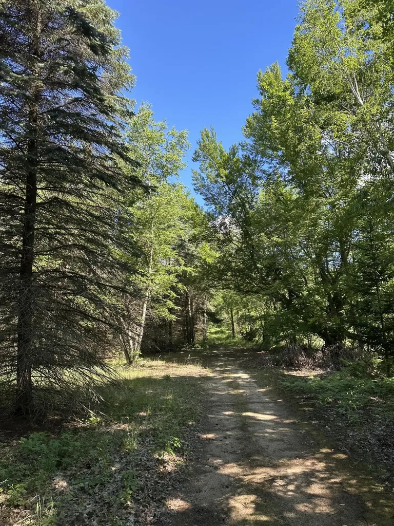 4485 S Miles Road Sidney Township MI 48884