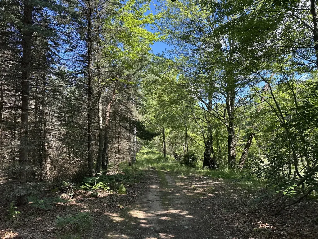 4485 S Miles Road Sidney Township MI 48884