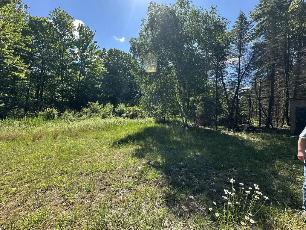 4485 S Miles Road Sidney Township MI 48884