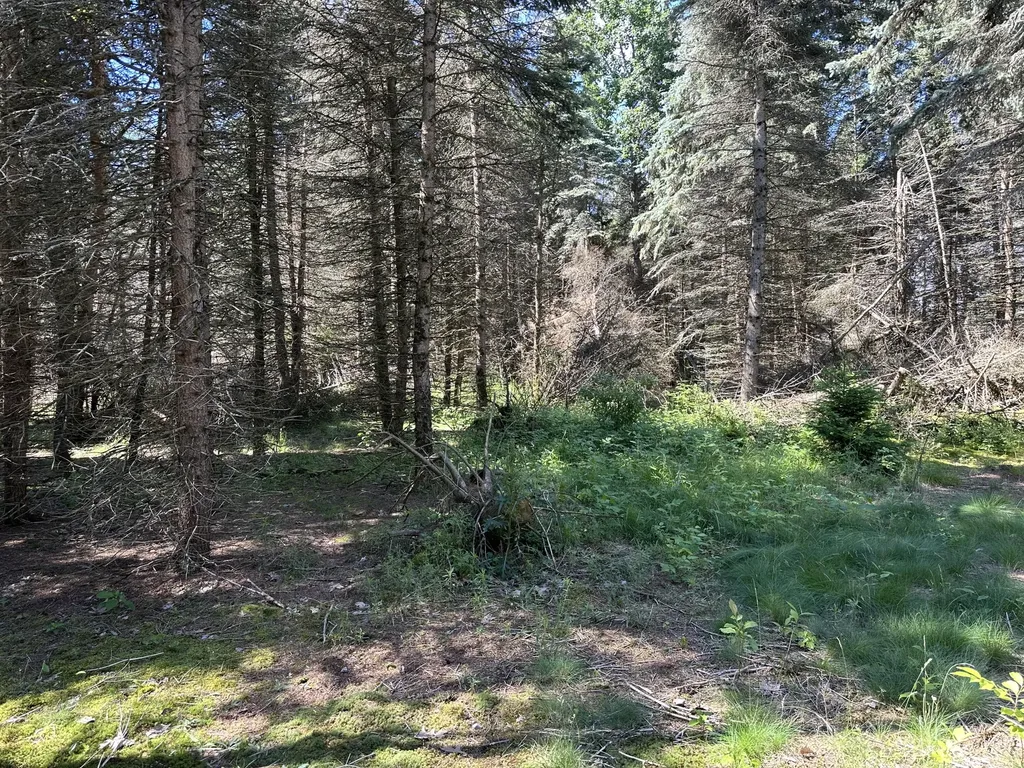 4485 S Miles Road Sidney Township MI 48884