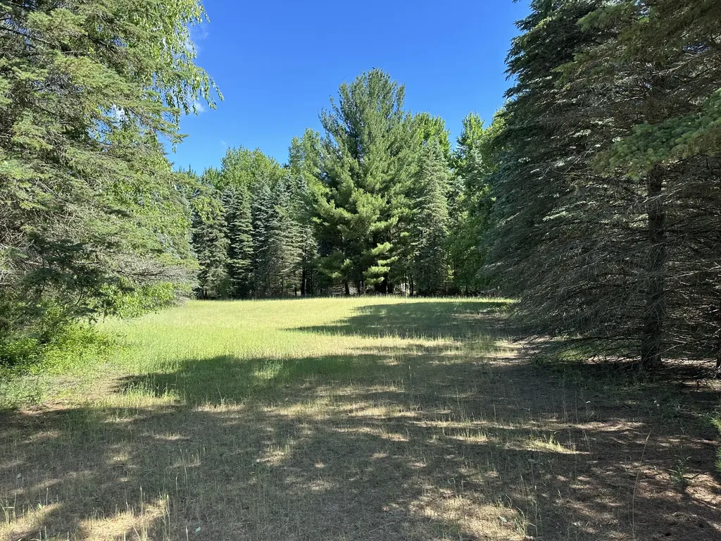 4485 S Miles Road Sidney Township MI 48884