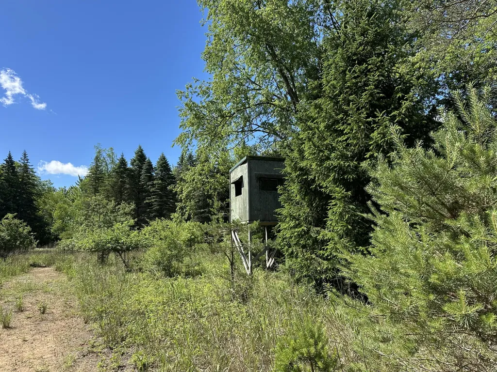 4485 S Miles Road Sidney Township MI 48884