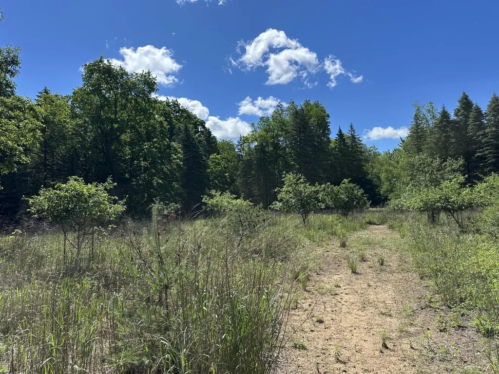 4485 S Miles Road Sidney Township MI 48884