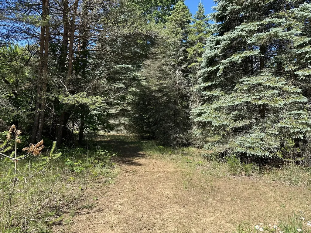 4485 S Miles Road Sidney Township MI 48884