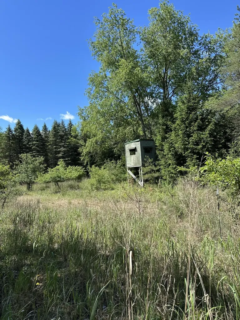 4485 S Miles Road Sidney Township MI 48884