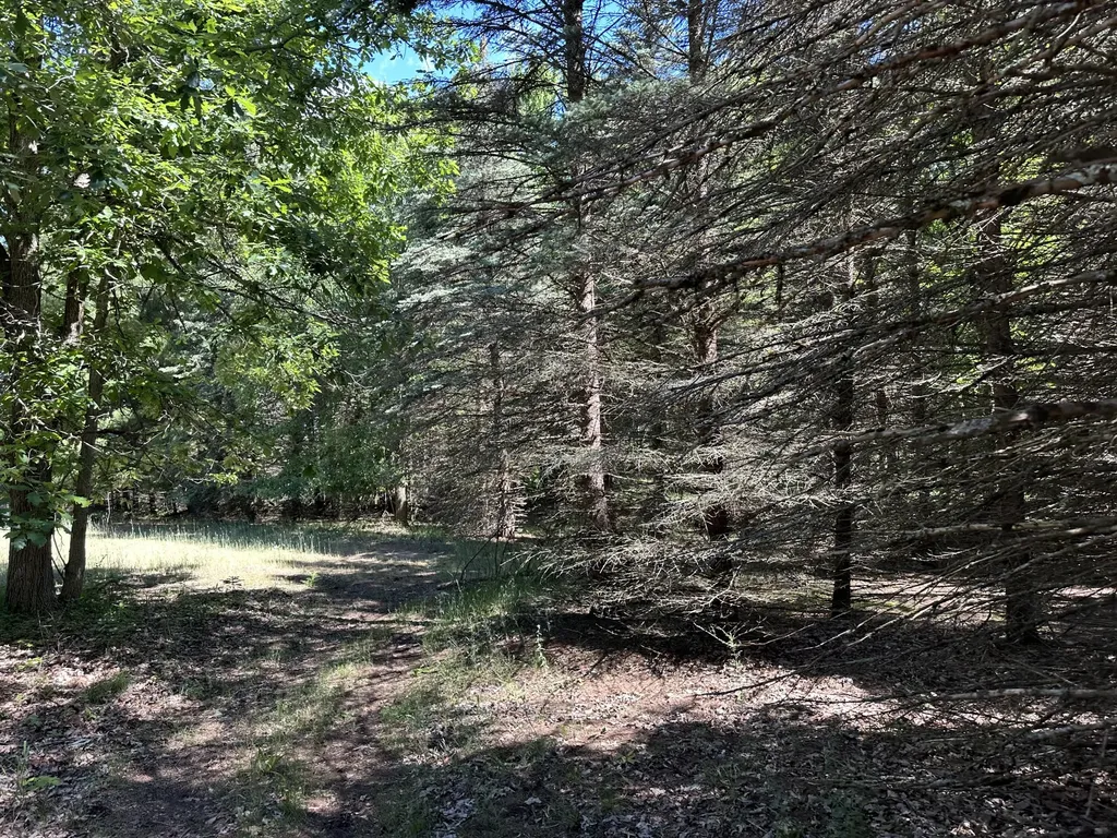 4485 S Miles Road Sidney Township MI 48884