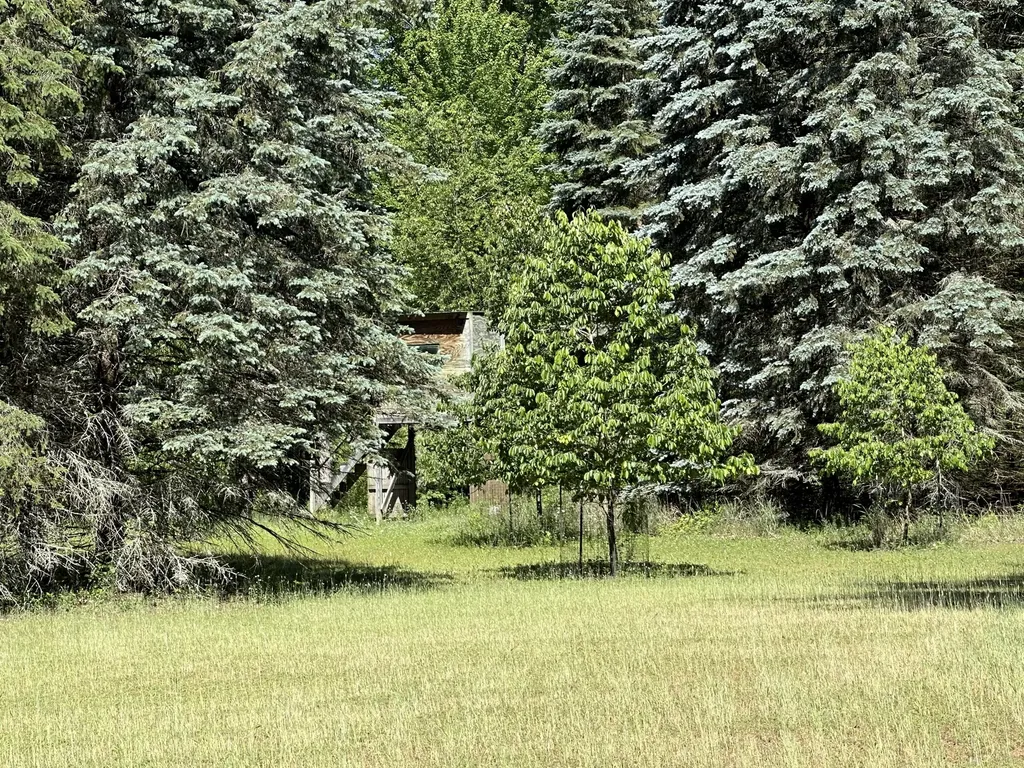 4485 S Miles Road Sidney Township MI 48884
