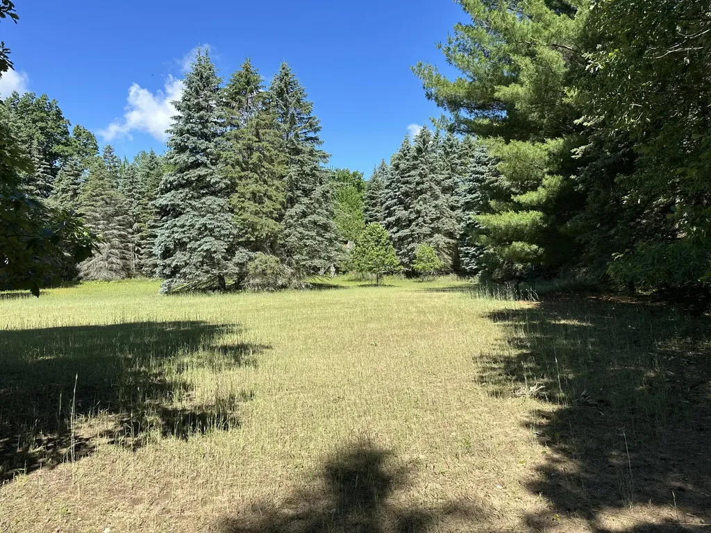 4485 S Miles Road Sidney Township MI 48884