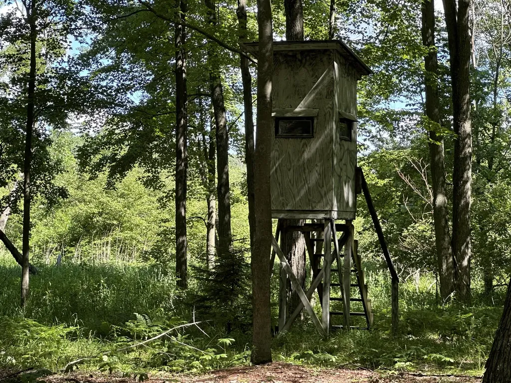 4485 S Miles Road Sidney Township MI 48884