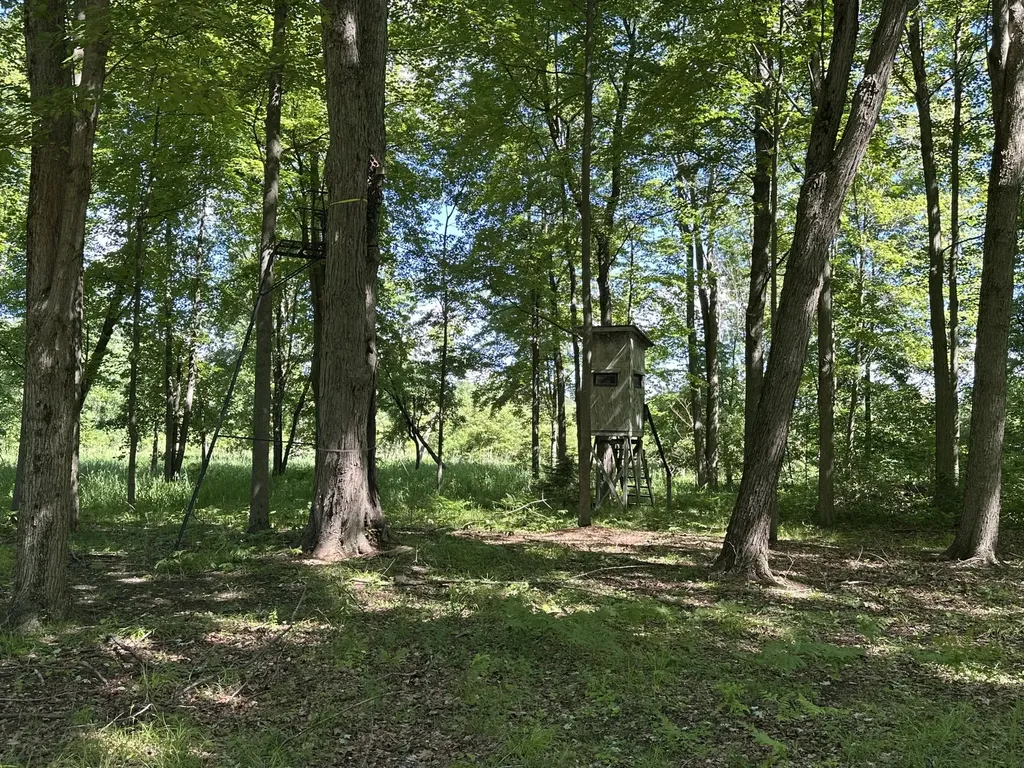 4485 S Miles Road Sidney Township MI 48884