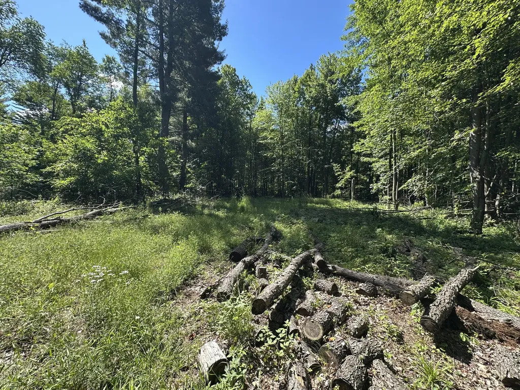 4485 S Miles Road Sidney Township MI 48884