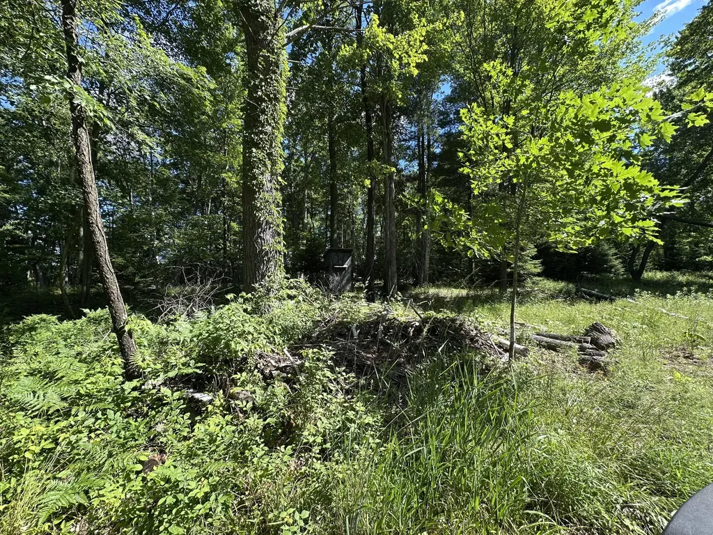 4485 S Miles Road Sidney Township MI 48884