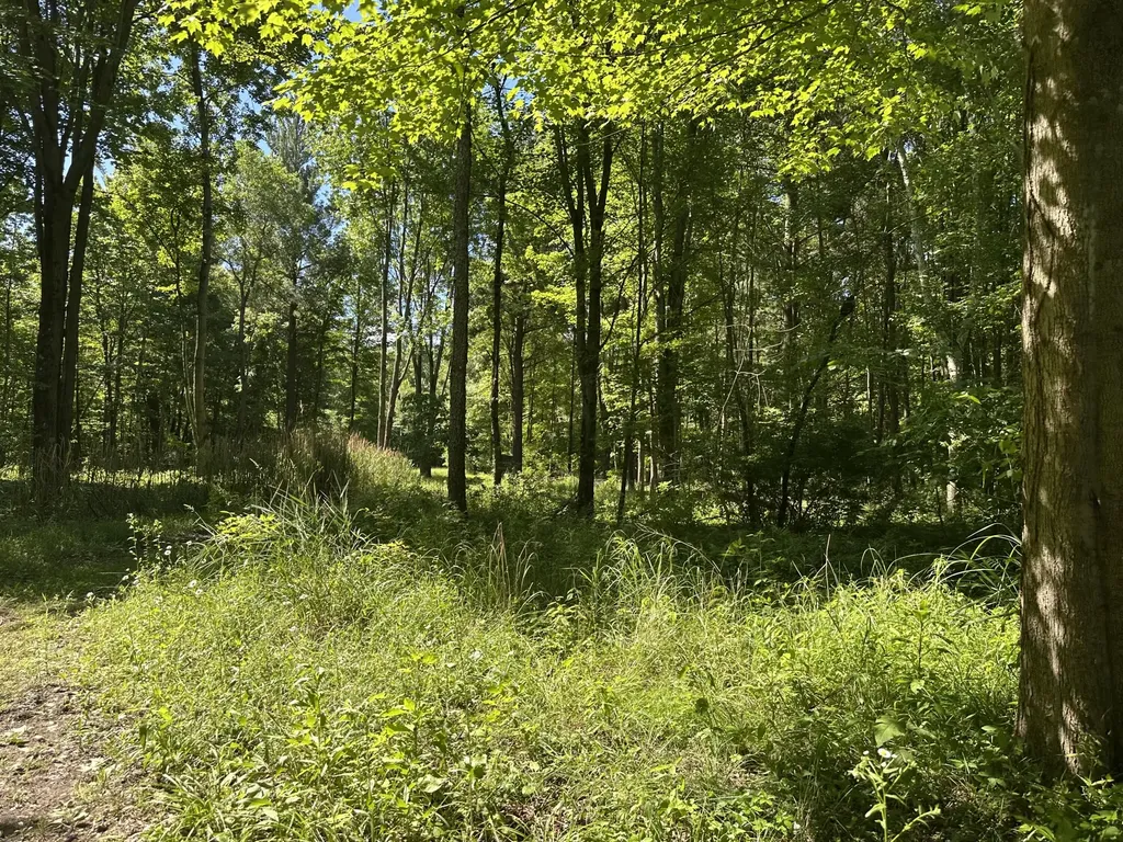 4485 S Miles Road Sidney Township MI 48884