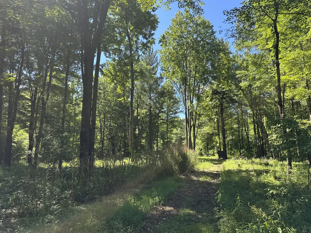4485 S Miles Road Sidney Township MI 48884